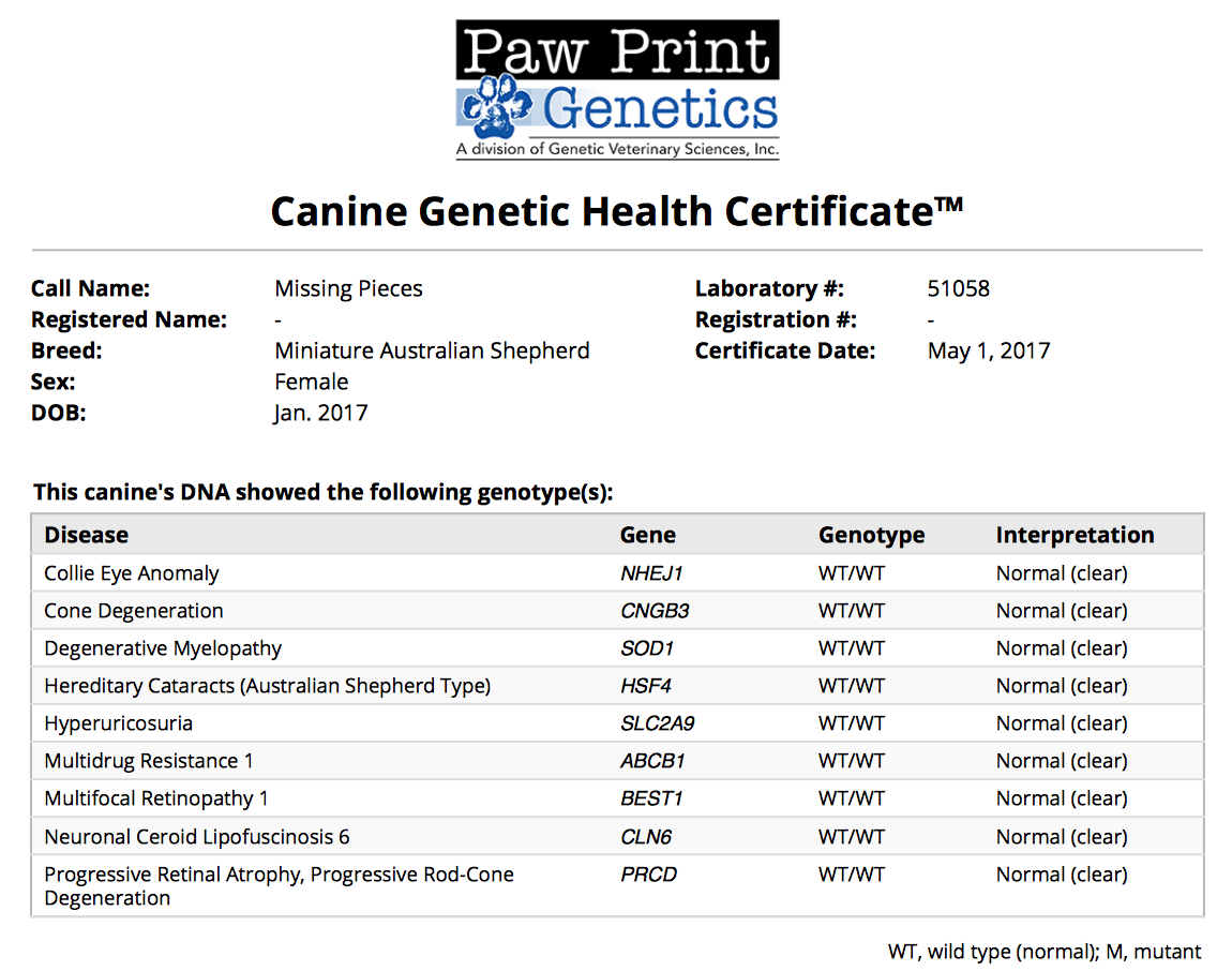 aussie genetic testing